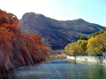 新澳天天开奖资料大全旅游团，绑架女人